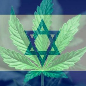 Israel Cannabis - Shutterstock