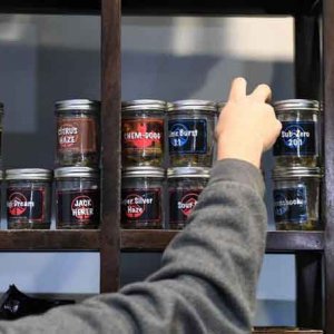 Jars of Dispensary Buds - Getty