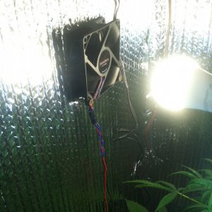 Growbox questions 3.5 x 1.8 x 1.4