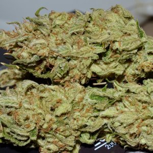 tangerine cookies