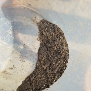 Wood ash for phosphorus