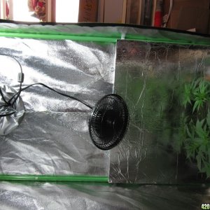 Slide for Adjustable Grow-Through Screen