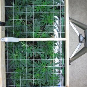 Adjustable Grow-Through Screen