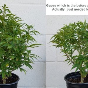 AK-47 before and after