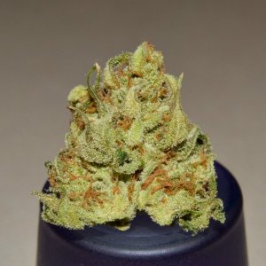 tangerine cookies