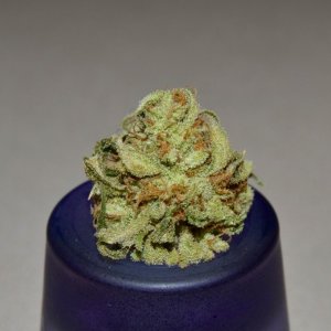 tangerine cookies