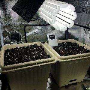 Small Grow Tent