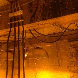 Grow room light wiring