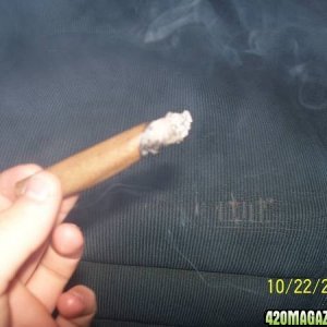 420am&pm's Blunt