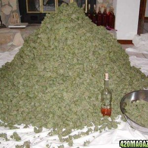 Ton of Bud