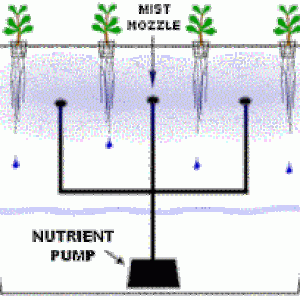 Different Grow Systems