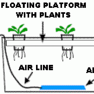 Different Grow Systems