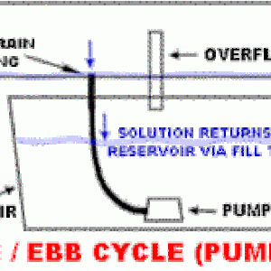 Different Grow Systems