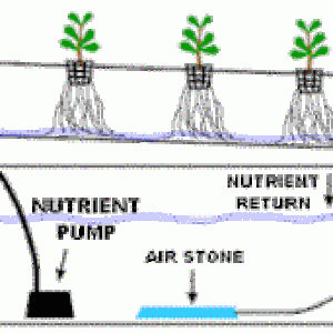 Different Grow Systems