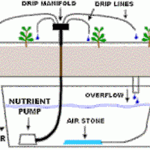 DRIP System