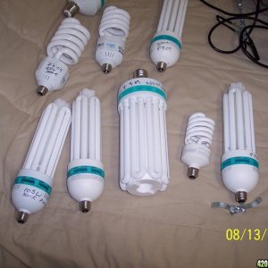 Bulbs  CFL