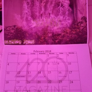 420 mag calendar