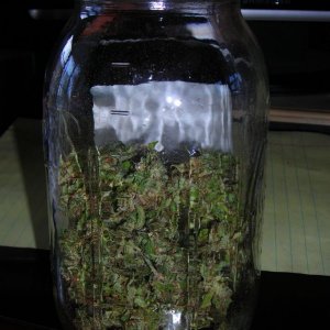 jar