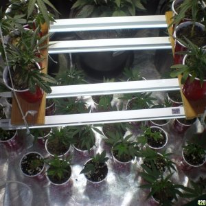 veg room