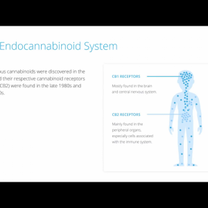 Endocannabinoid System