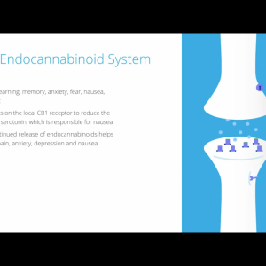 The Endocannabinoid System