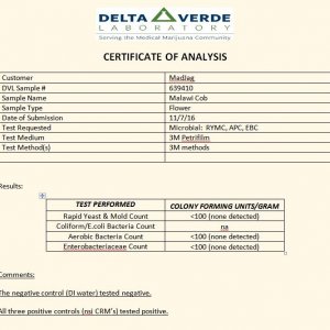 cob lab report