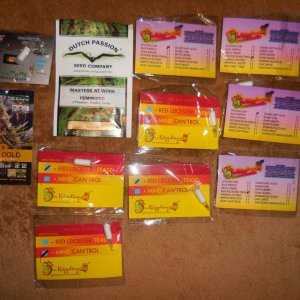 all my seeds!! 002.jpg