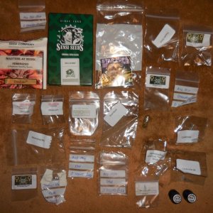 all my seeds!! 004.jpg