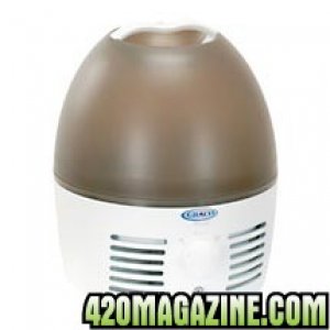 Cheap Humidifier