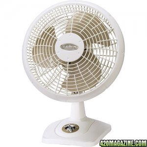 Oscilating Fan