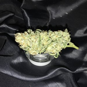 Sweet Coffee Ryder Harvest - Indica Lady 1