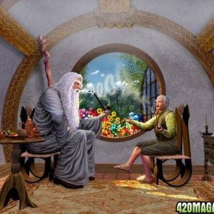 Gandalf and Bilbo - You know their smokin some ass kickin Shire strain!