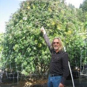 motivation for outdoor growers