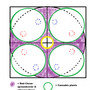 Organic Soil Grow Top View.png