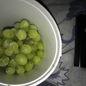 Grape & Vape