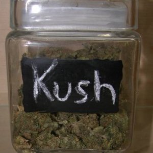 Kush