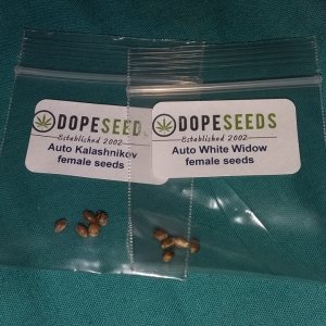 Dope seeds prize :D