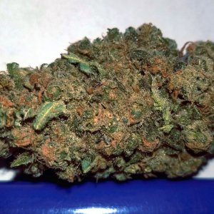 Bud-w-lighter - Copy.jpg