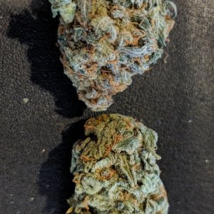 10/11/18 OG Haze SMK REP