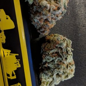 10/11/18 OG Haze SMK REP