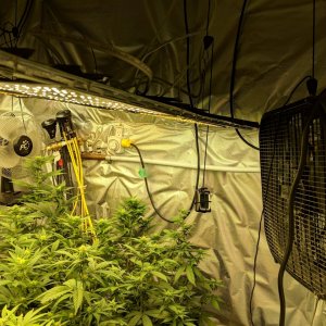 Grow room revision