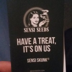 Sensi skunk