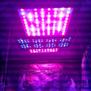 Led array