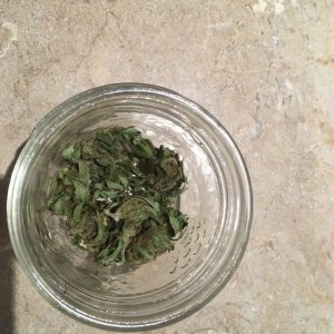 Little jar with whole buds