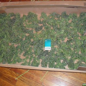 box o'weed