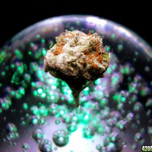 BubbleBud