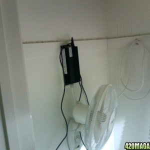 ballast and wall mount fan