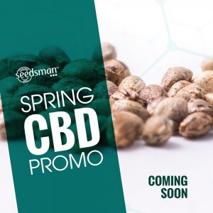 Seedsman CBD Promo