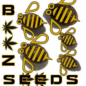 BEEZ SEEDS[200].jpg