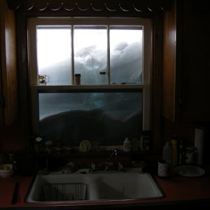 Kitchen Window.jpg